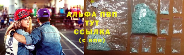 дживик Баксан