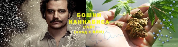 молекула духа Балабаново