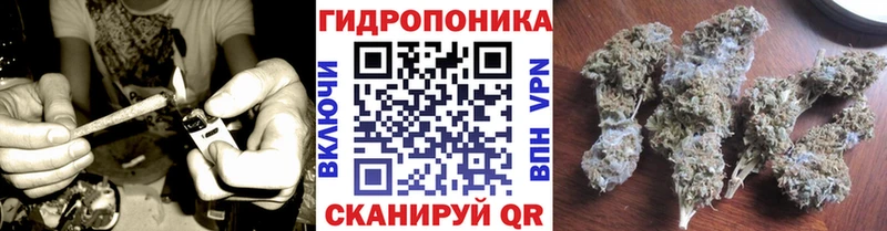 Купить Называевск Бошки Шишки MAZAR